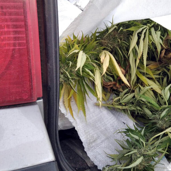 u "pežou" držao 7 džakova droge: uhapšen muškarac u sremskoj mitrovici, a evo šta mu je još pronađeno na tavanu kuće