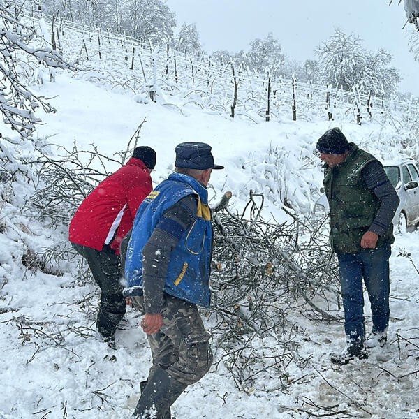 "struju nemamo satima i ne znamo kad ćemo je dobiti": sneg izazvao kolaps u ivanjičkim selima, meštani nemaju ni struje ni signala