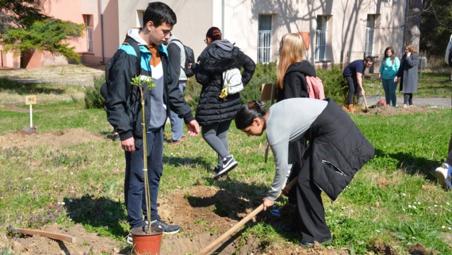 OD 12 ODELJENJA PO "DRVO GENERACIJE": Ekološka akcija učenika Poljoprivredne škole u Negotinu