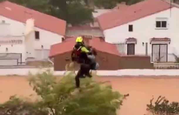 (VIDEO) STRAVIČAN SNIMAK SPASAVANJA IZ UBILAČKIH POPLAVA ŠIRI SE SVETOM: Žena drži životinje, voda joj do grla – a onda se dogodio NEVEROVATAN PRIZOR!