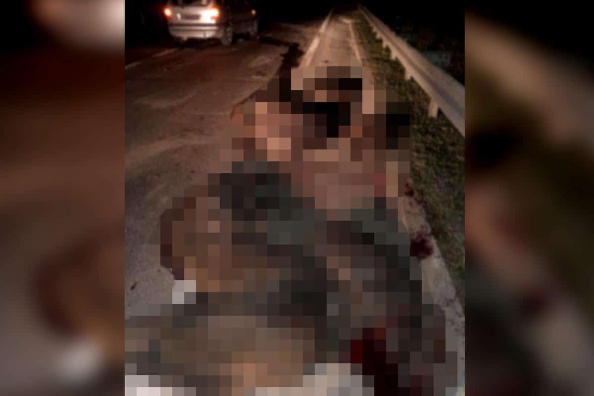 HOROR NA PUTU KOD KRAGUJEVCA! Krv svuda po cesti, auto “udario” KRDO DIVLJIH SVINJA – UŽASNE SCENE