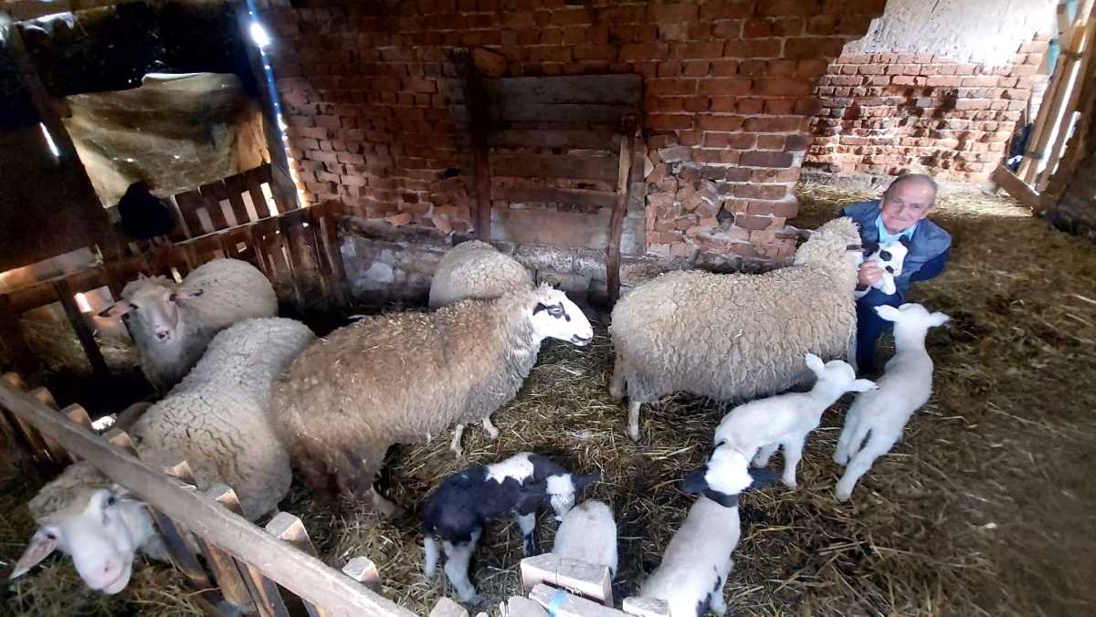 SrbijaSrbijaGAZDA MILISAV OVAKO NEŠTO NE PAMTI: A ni najstariji meštani! Još se prepričava šta se zbilo kad je ušao u štalu (foto)ReagujKomentarišiReagujKomentariši
