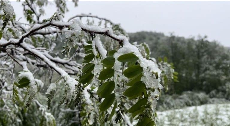 SRBIJA JUTROS U MINUSU, UDARIO POŠTEN MRAZ! Najhladnija Sjenica s minus 9, a odmah iza ovaj grad?! Već u sredu druga priča! Živa skače, a stiže i ova pojava