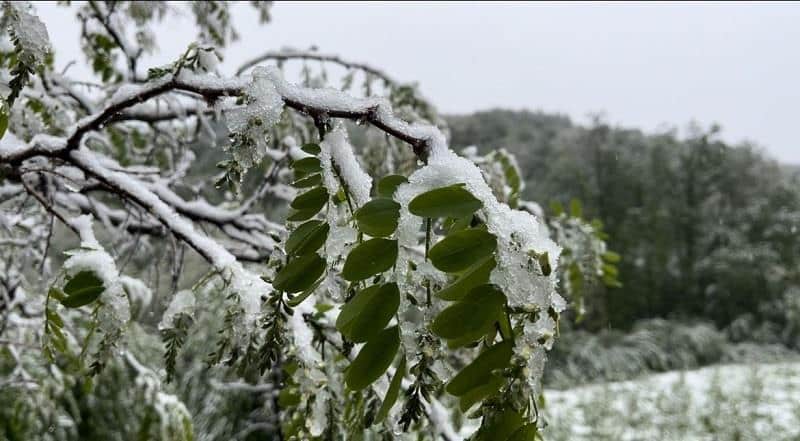 SRBIJA JUTROS U MINUSU, UDARIO POŠTEN MRAZ! Najhladnija Sjenica s minus 9, a odmah iza ovaj grad?! Već u sredu druga priča! Živa skače, a stiže i ova pojava