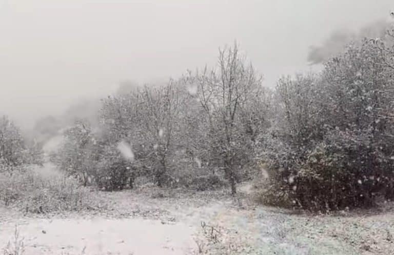 “PRVI SNEG NAS JE ZATEKAO DANAS” Pogledajte snimke, veje širom Srbije: Ovako izgledaju mesta koja su se ZABELELA, među njima i Leskovac (VIDEO, FOTO)