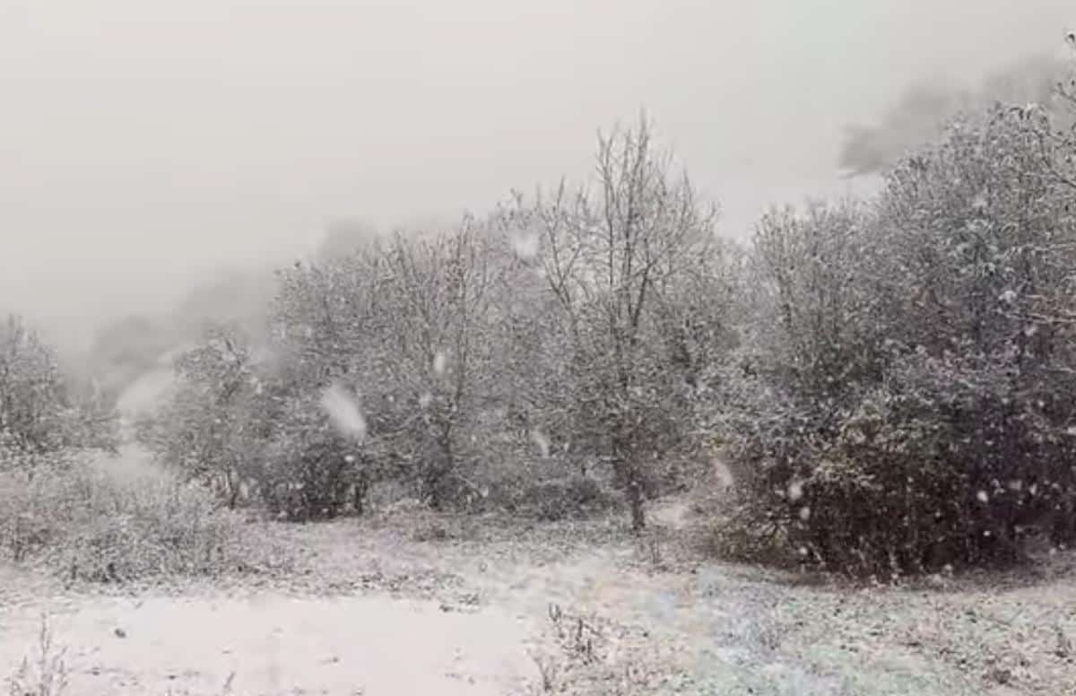 “PRVI SNEG NAS JE ZATEKAO DANAS” Pogledajte snimke, veje širom Srbije: Ovako izgledaju mesta koja su se ZABELELA, među njima i Leskovac (VIDEO, FOTO)