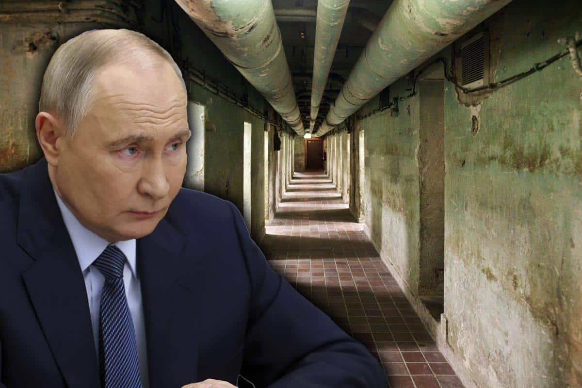NEMCI U PANICI OD RUSA I PUTINA! Sastavljaju listu bunkera: Do njih će se dolaziti preko aplikacije, ovo su svi detalji