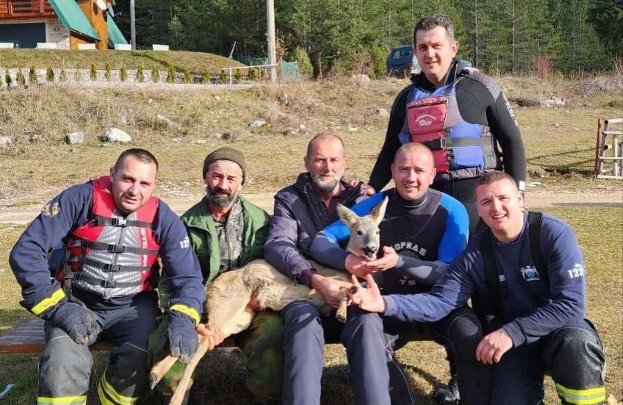 DRAMA NA ŽABLJAKU: Vatrogasci razbijali led da bi na čamcu stigli do zaglavljene životinje, na sigurno je izvukao lovočuvar (FOTO)