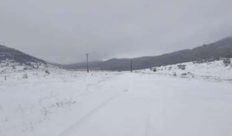 GOLIJA I PEŠTER SE KOMPLETNO ZABELELI! Putari neumorno čiste snežne nanose, ali sneg nije uspeo oterao gorštake! Još uvek napasaju stada (FOTO)