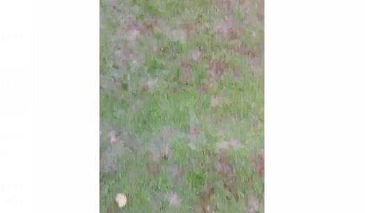 LOŠE STANJE TERENA U UBU: Meč Jedinstva i Zvezde odložen – pogledajte kako izgleda stadion posle snežnih padavina (VIDEO)