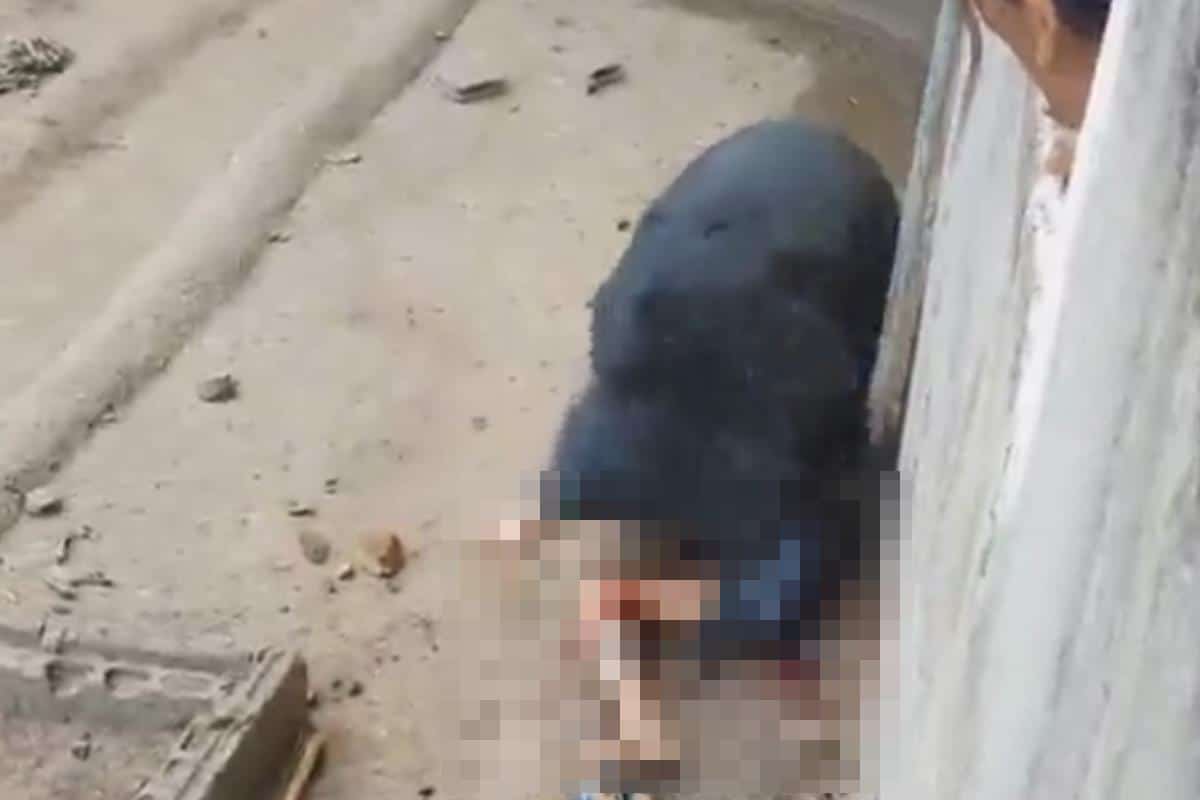 (UZNEMIRUJUĆI VIDEO) HOROR PRIZOR U ZOO VRTU! Muškarac ismevao medveda, a onda ga ovaj ščepao i uvukao u kavez! Zver nije imala milosti