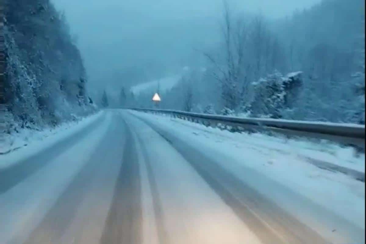 PAO SNEG NA ZLATIBORU, I TO DOBAR! Već ga ima 5 centimetara, zabelelo se sve! (foto)