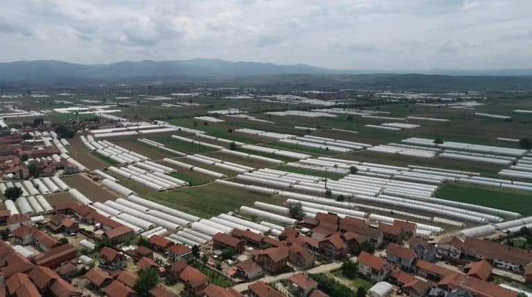 OTKAD SE TU UDALA, MILICA ŽIVI BOLJE NEGO U GRADU! Ovo selo na jugu Srbije puno je dece i lux kuća, a u njivu se ide autom jer do svake imaju asfalt!