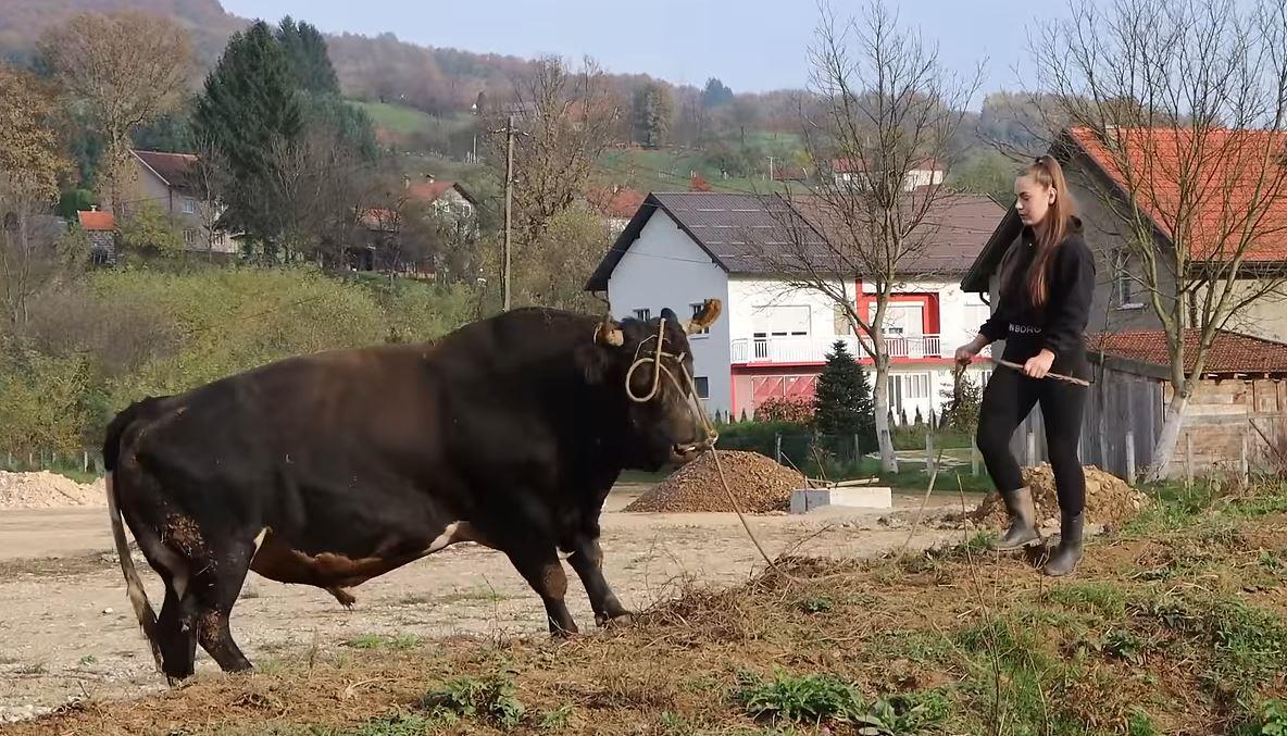 Moj biznisMoj biznisUSKE HELANKE, DOTERANE OBRVE, DUGA NEGOVANA KOSA: Martina izgleda kao model, a živi od štale i bikova, onolika zver a lepoticu sluša kao mače (video) 2 · Reaguj 12 · Reaguj 1