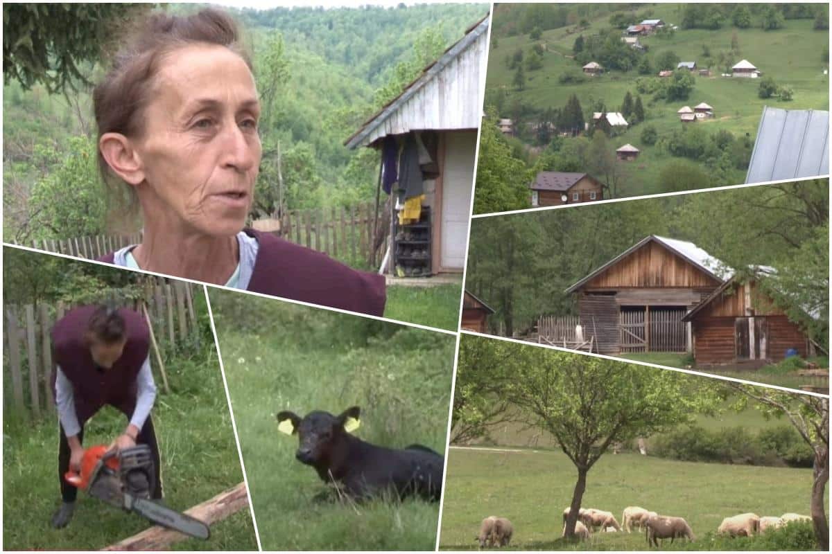 NA PEŠTERSKOJ VISORAVNI ŽIVE SESTRE KOJE SU ODUŠEVILE SRBIJU: Same rade sve muške poslove, ali sa jednim CILJEM! Odlučile da svima otkriju svoj plan (VIDEO)