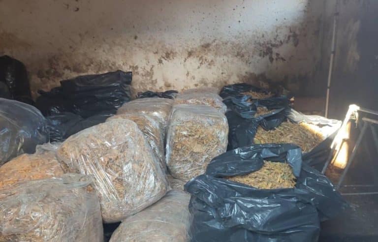 REKORDNA ZAPLENA U ŠAPCU! U stanu krili 10,8 TONA nedozvoljene materije, lisice stavljene ekspresno! Procenjena vrednost u MILIONIMA (FOTO)