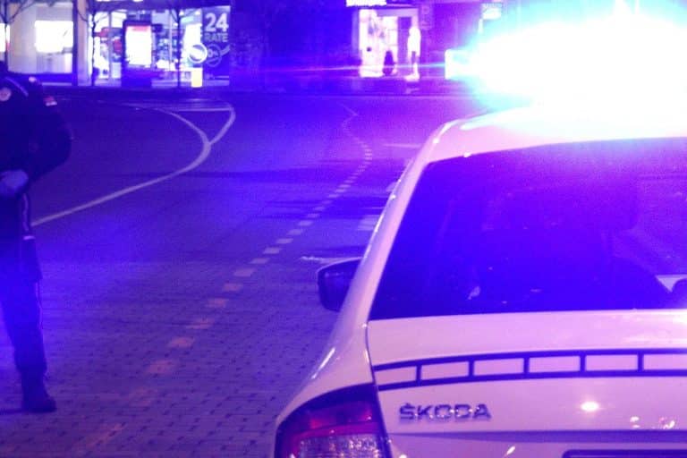 ZATEKLI IH U ČAMCU TOKOM VAĐENJA MREŽA: Policija će podneti krivične prijave protiv 2 muškarca – uhvatili ih u nezakonitom ribolovu na kanalu DTD