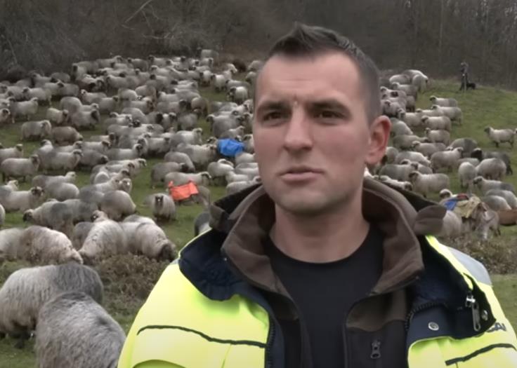 “Ma kakva Danska!” Momak napustio Skandinaviju i vratio se u rodno selo da čuva ovce: Jedno veče je samo presekao, a imao je dobar razlog