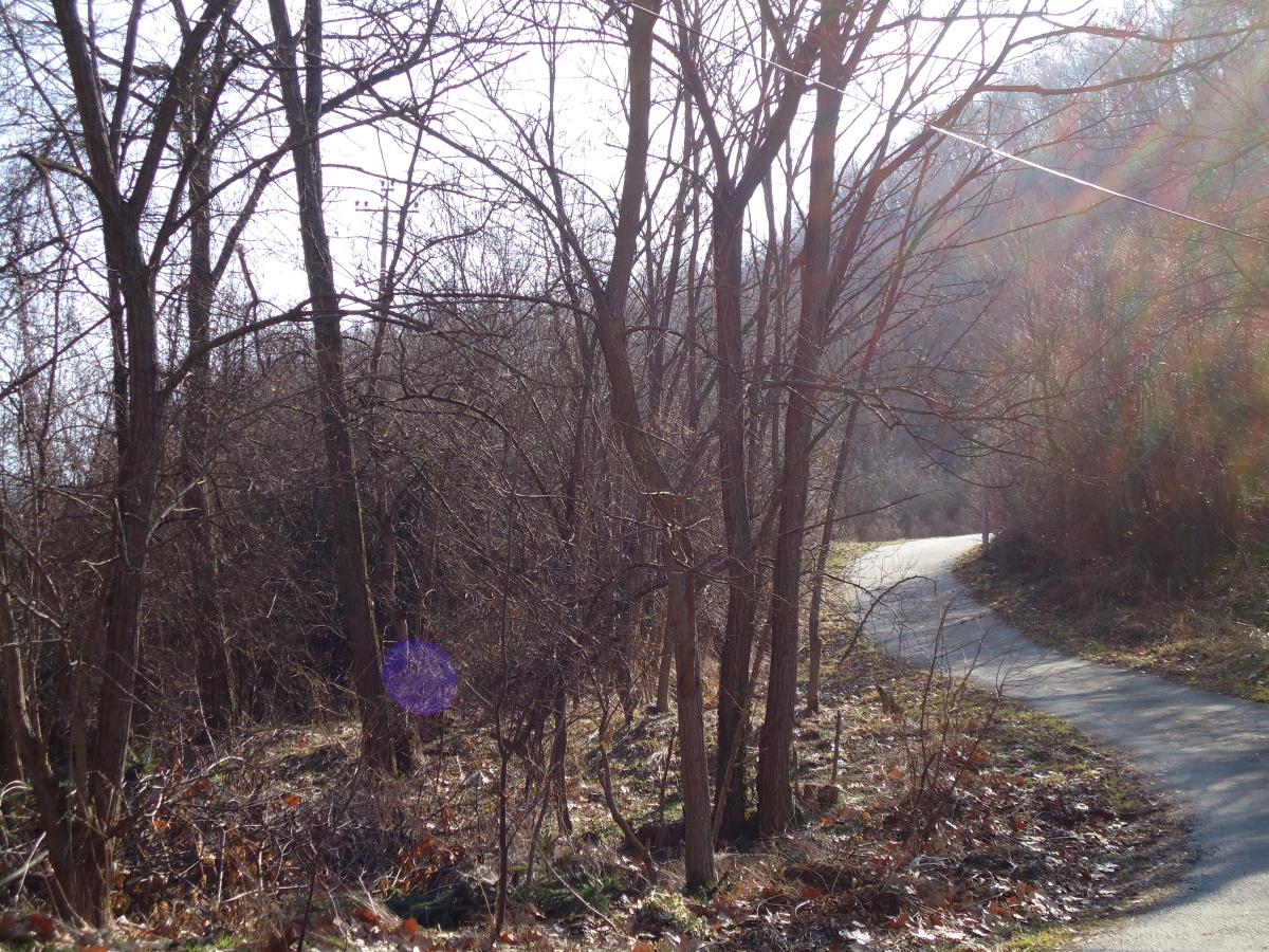 ZORICA SA DRUGARICAMA TROVALA LJUDE I OSTAVLJALA IH U ŠUMI Tri domaćice skovale pakleni plan, a na domišljatosti bi im pozavideo i Holivud: Ovo su detalji