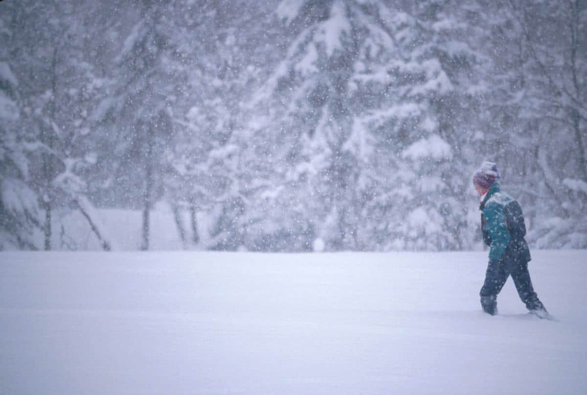 SNEG ZATRPAO GRAD U HRVATSKOJ! Grtalice i lopate rade punom parom, a najgore tek dolazi! (FOTO)