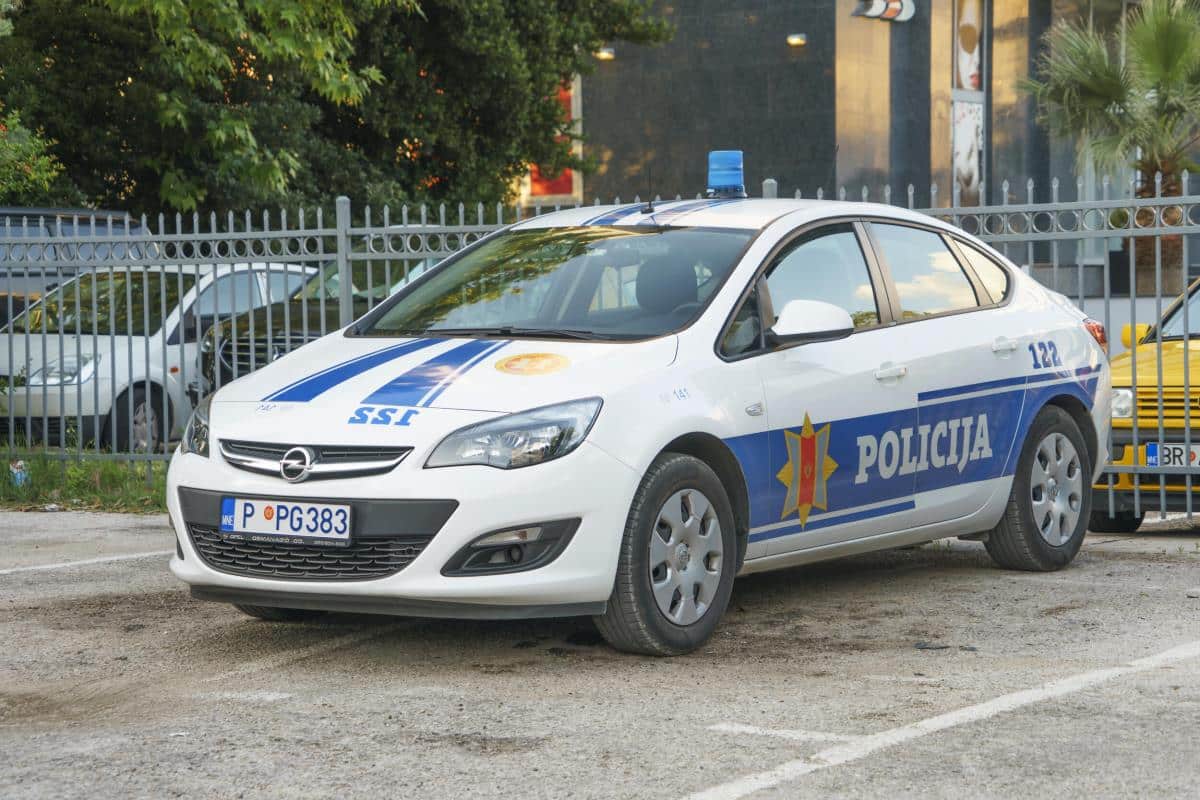 MAJKU GAĐAO HRANOM, PA NASRNUO I NA POLICIJU: Ovo su svi detalji stravičnog nasilja u Crnoj Gori
