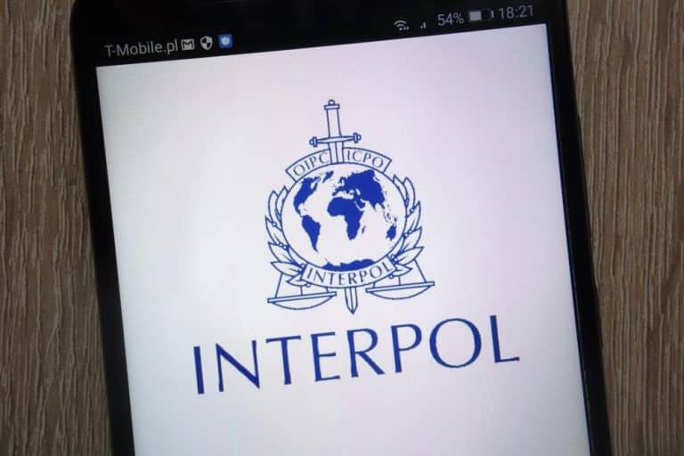 Interpol traži zabranu “svinjokolja”: Žrtve nisu “svinje”, prestanite s tim terminom