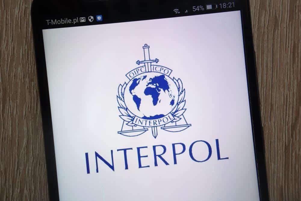 Interpol traži zabranu “svinjokolja”: Žrtve nisu “svinje”, prestanite s tim terminom