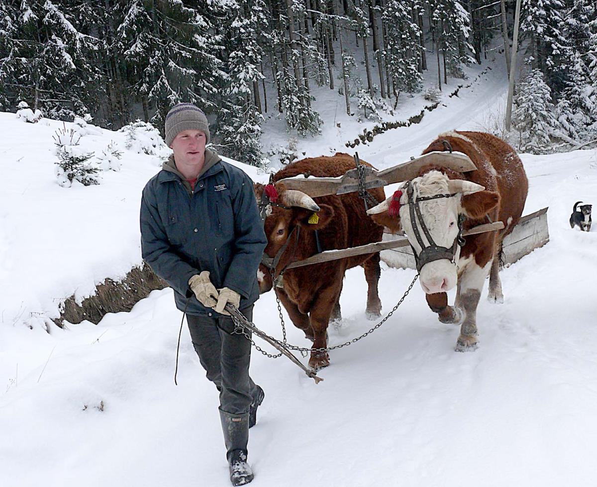 U SRPSKOM SIBIRU JUTROS IZMERENO MINUS 10! A na Zlatiboru nula! Već večeras biće padavina, a evo kakvo nas vreme očekuje naredne nedelje (foto)