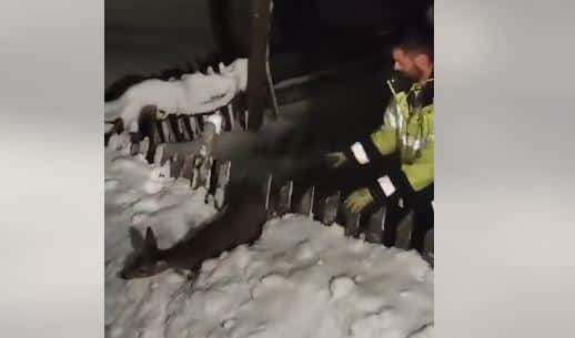 I U SNEŽNOM HAOSU POKAZALI HUMANOST: Dirljiv gest zlatiborskih putara greje srca širom Srbije (video)