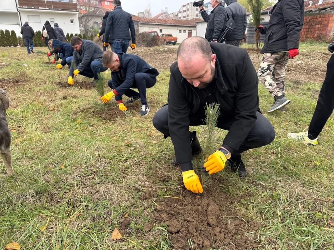 MLADENOVAC BOGATIJI ZA 4000 NOVIH SADNICA: Rasadi hrastova krasiće ove delove grada, mladim ljudima na terenu se pridružio i predsednik Gradske opštine (FOTO)