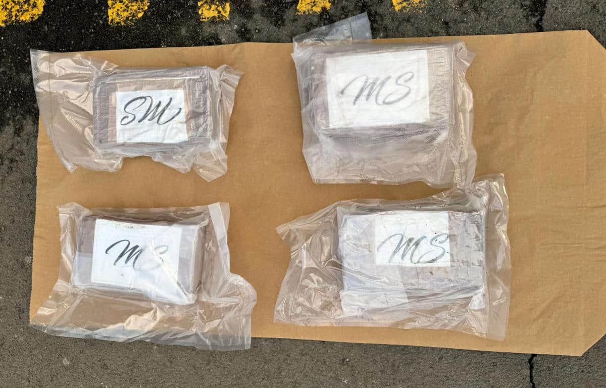 POLICIJA U NOVOM PAZARU ZAUSTAVILA AUTOMOBIL, PA SE ŠOKIRALA! Uhapšena dva lica iz Slovenije, u gepeku prevozili 4,8 kilograma droge! – Dačić otkrio detalje