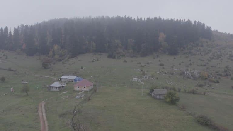 (FOTO) OVU ŠUMU U SRBIJI ZOVU UKLETOM Niko ne sme ni graničicu da uzme, svako ko se ohrabrio loše je prošao – meštani obližnjeg sela je vole, ali rado zaobilaze