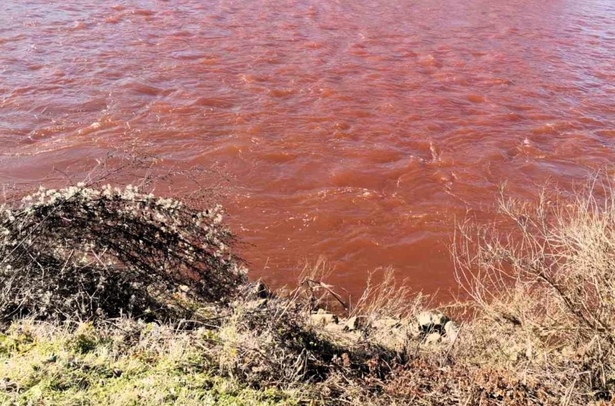 STIGLA ZVANIČNA POTVRDA – EVO ŠTA SE DEŠAVA SA DRINOM! Analiza vode pokazala uzrok promene boje (FOTO)
