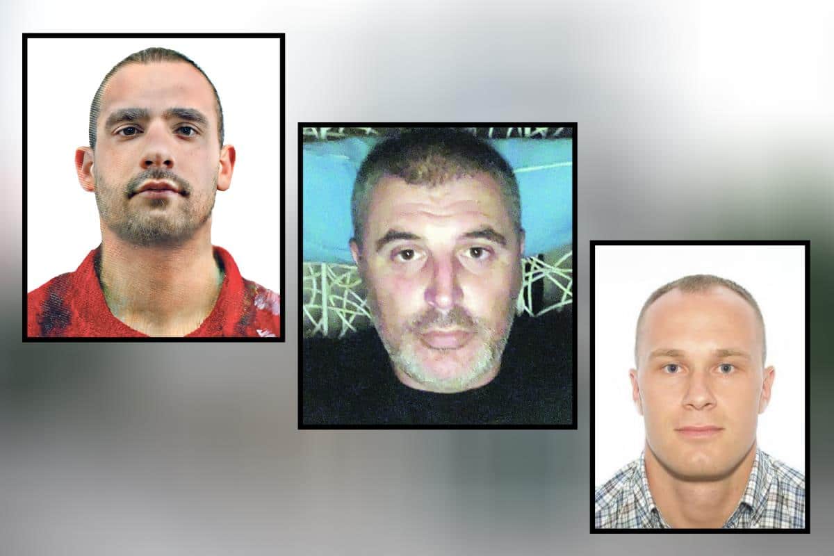 JA SAM PENZIONISANI DILER, NISAM ČUO ZA VRAČARCE, A ODJEDNOM HOĆE DA ME UBIJU Evo ko je uhapšeni Divljanović, oženio se u zatvoru i bio meta Džonijevog klana!