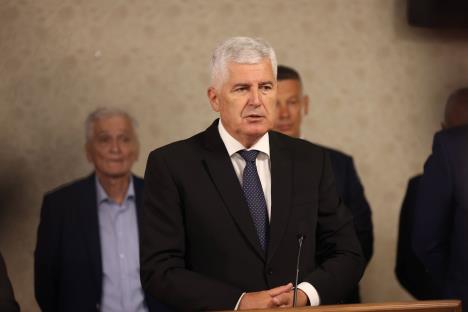 201 Beta Hazim Aljovic.jpg