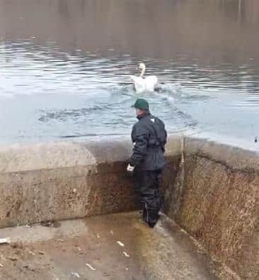 HRABRI RADNICI NACIONALNOG PARKA FRUŠKA GORA POKAZALI DA SU VELIKOG SRCA Zaglavio se u slivniku jezera Bruje, a onda je naišao on! (FOTO)