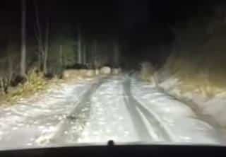 ŠOK SCENA KOD NOVOG PAZARA! Vozio uskim planinskim putem, pa ugledao NEVEROVATAN PRIZOR: Odmah izvadio telefon – ovo šta je snimio po mrkloj noći (VIDEO)