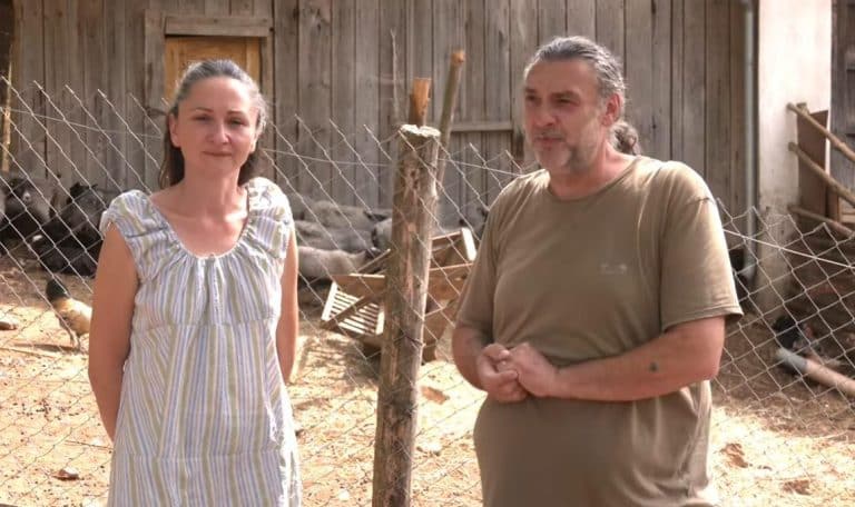 IZ GRADA SVETLOSTI SANJALI KRIVI VIR! Nenad i Verica došli iz Pariza, sad čuvaju ovce i otkrivaju od kolikog stada može da se živi (foto, video)