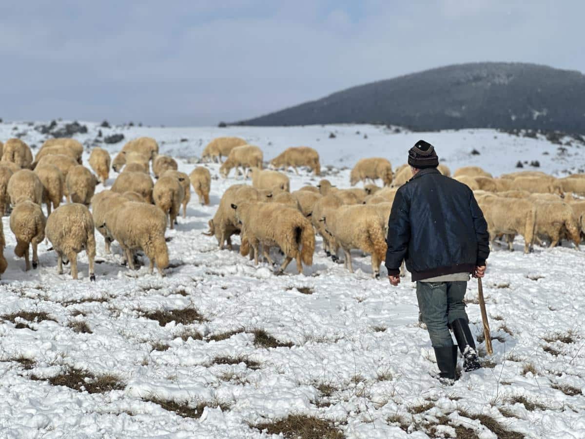 OVAKO IZGLEDA SIBIRSKO JUTRO NA PEŠTERU: Ledenice dugačke metar, iz kuće se ne izlazi – “Grejemo se na drva i molimo se da nam…” (FOTO)