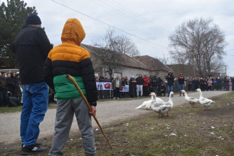 LETELO PERJE U FINALU 39. GUSANIJADE: Spasoje nadjačan, Mistral odneo pobedu, rekordna makljaža trajala 20 i kusur minuta (FOTO)