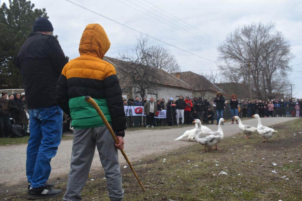 LETELO PERJE U FINALU 39. GUSANIJADE: Spasoje nadjačan, Mistral odneo pobedu, rekordna makljaža trajala 20 i kusur minuta (FOTO)