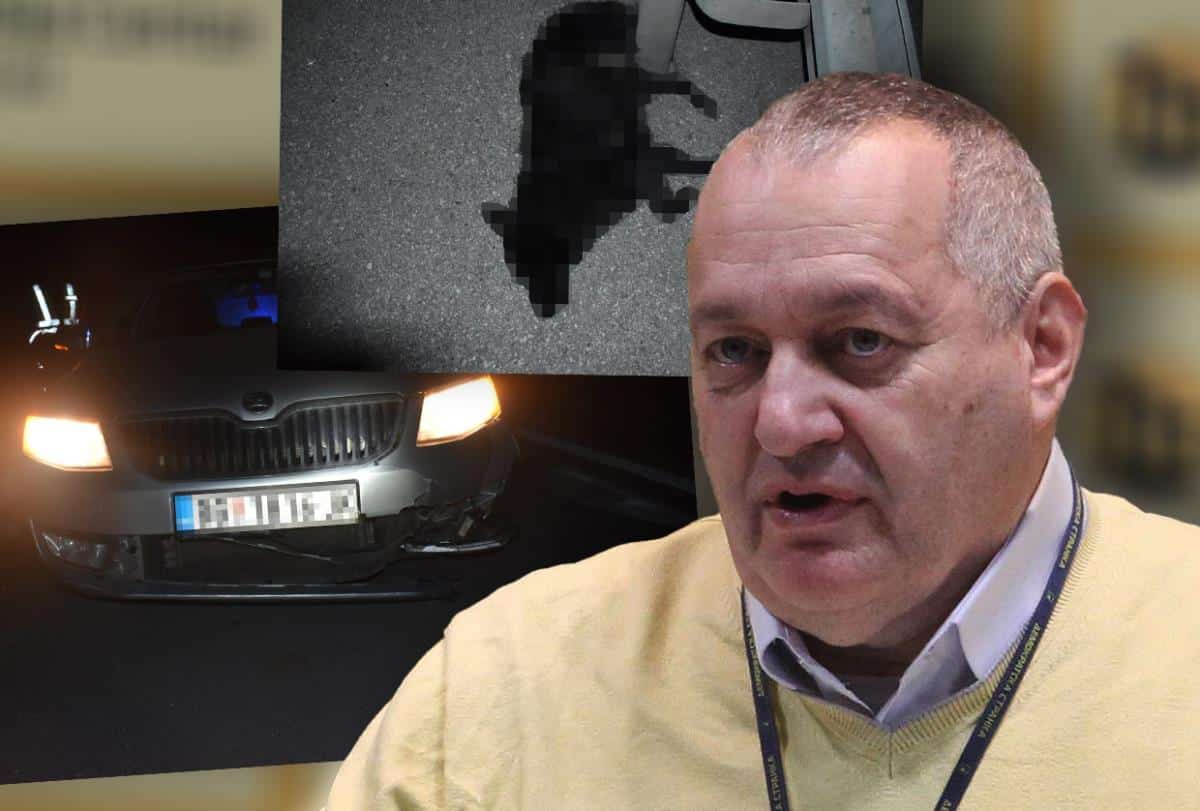 LIDER DEMOKRATA PREGAZIO PSA! Srđan Milivojević kod Aleksinca usmrtio životinju