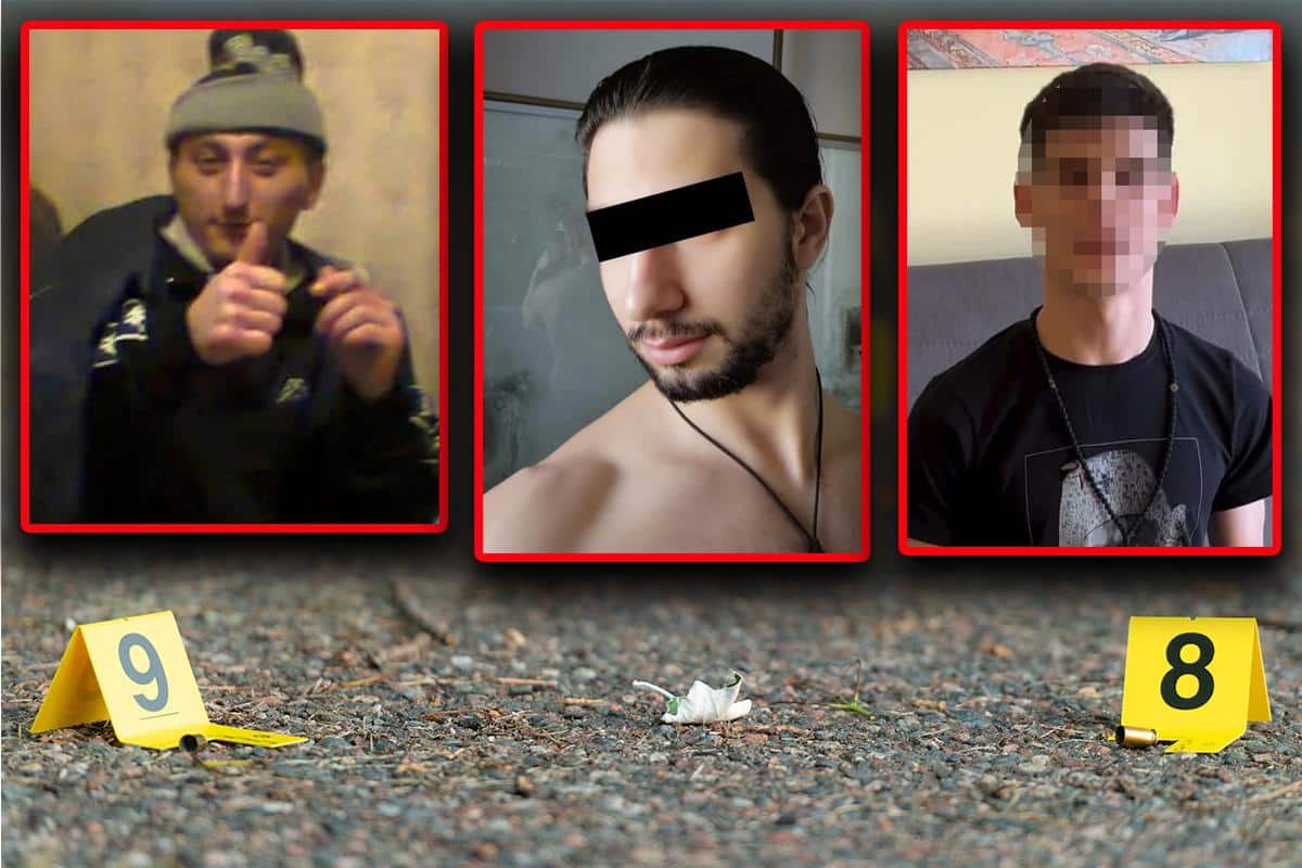 ZA MESEC DANA UBIJENE TRI ŽENE I SVE SU ŽRTVE SINOVA! JEDNA STVAR ZAJEDNIČKA SVIM ZLOČINIMA: Postoje 3 kategorije osoba koje su agresivne prema roditeljima!