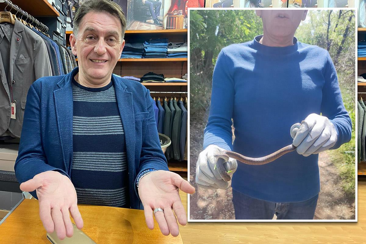 JEZIV PRIZOR U KUĆI U ČAČKU USRED ZIME! Dejan u hodniku zatekao otrovnicu, a onda ga je u dnevnoj sobi dočekao još jedan nemili prizor: “Ljudi nisu ni znali…”