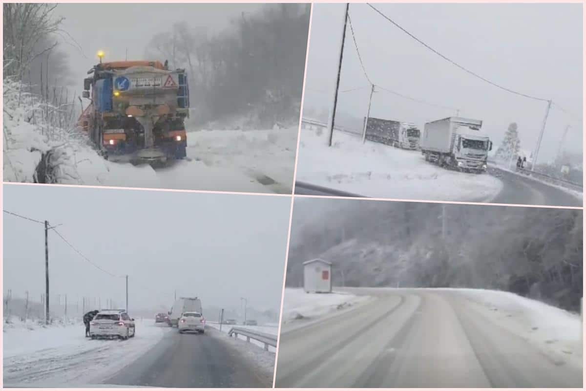 HrvatskaHrvatskaPOTPUNI KOLAPS ZBOG SNEGA: Ljudi u Hrvatskoj ne mogu da stignu na posao, svi se vraćaju kućama! (VIDEO)ReagujKomentarišiReagujKomentariši