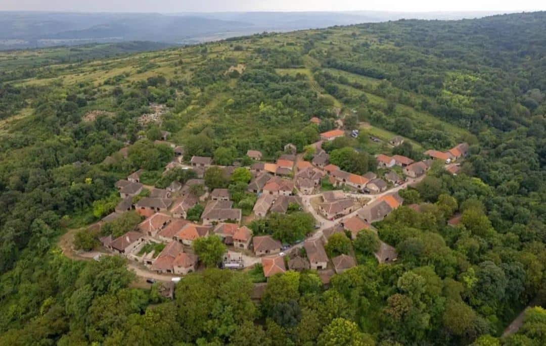 SVETI TRIFUN NA RAJAČKIM PIVNICAMA: Centralni događaj je simbolično orezivanje čokota vinove loze, kako bi rod bio dobar