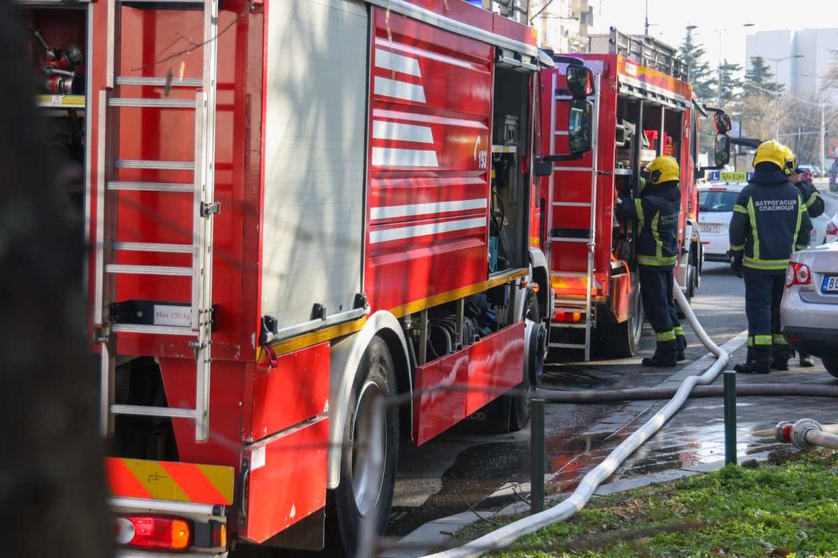NEOBIČNA INTERVENCIJA VATROGASACA U NOVOM SADU: Na poziv ove zabrinute žene odmah se uputili na lice mesta (FOTO)
