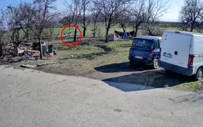 POGLEDAJTE KAKO SE KRETALA MALENA DUNJA (2) PRE NESTANKA! Obučena u sivo polako odmiče od kuće, ali joj onda nešto odvlači pažnju (FOTO, VIDEO)