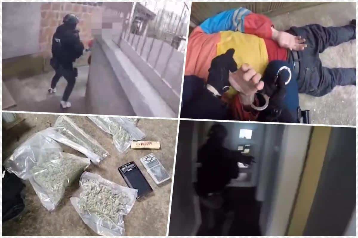 UHAPŠENE DVE ORGANIZOVANE KRIMINALNE GRUPE – POGLEDAJTE AKCIJU SRPSKE POLICIJE Upali na 6 lokacija, a evo šta su tamo zatekli! Lisice na ruke stavljene 11 osoba