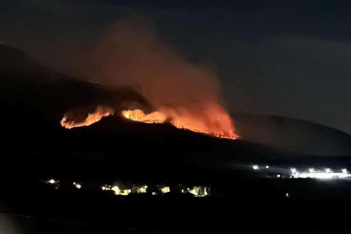 VATRA PROGUTALA 40 HEKTARA KOD DEČANA Uzrok najverovatnije ljudski faktor